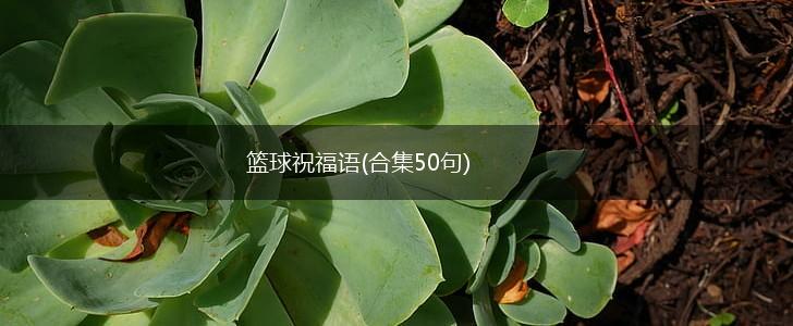 刻苦训练篮球时如何避免受伤的建议_2